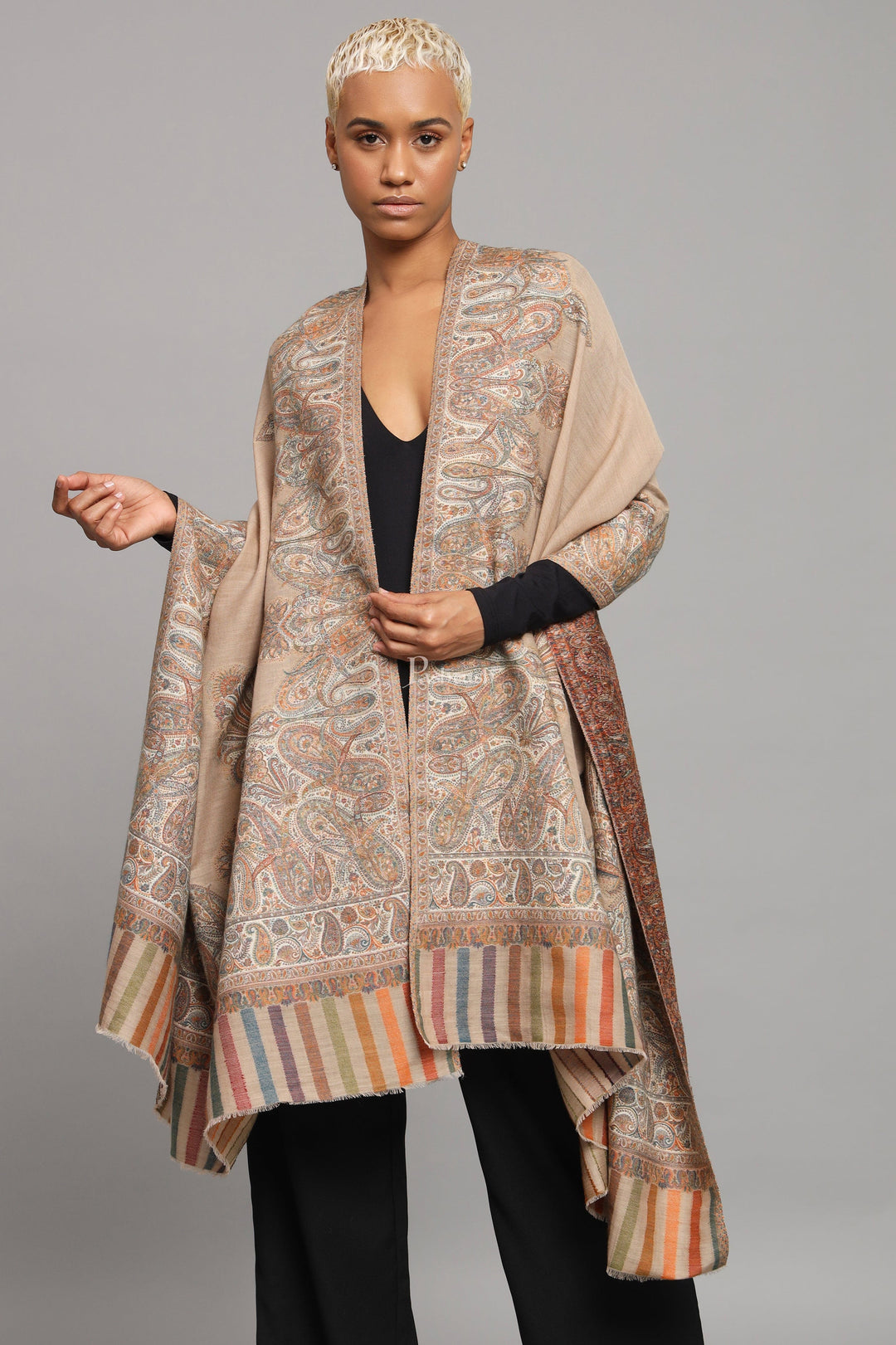 Pashtush India Womens Shawls Pashtush Womens Fine Wool Shawl, Paisley And Border Woven Design, Beige