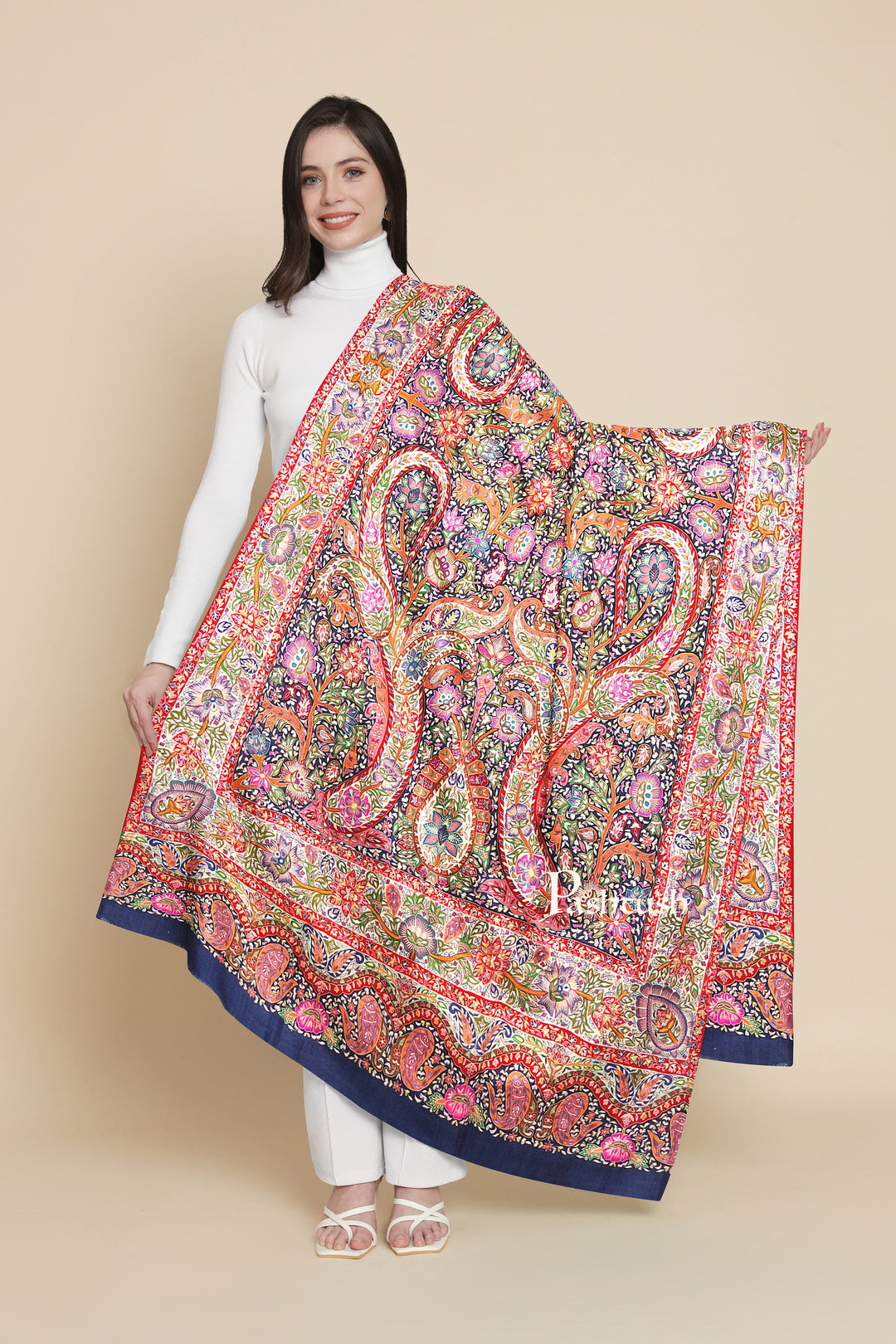 Pashtush India Womens Shawls Pashtush Womens Pashmina Shawl, Hand Painted, Hand Embroidered, Handloom Woven Shawl, Multicoloured